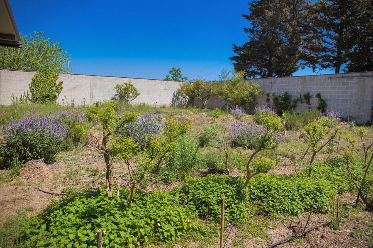 Agriturismo Biologico Piccapane Bed & Breakfast Cutrofiano Luaran gambar