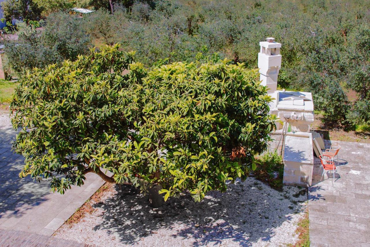 Agriturismo Biologico Piccapane Bed & Breakfast Cutrofiano Luaran gambar
