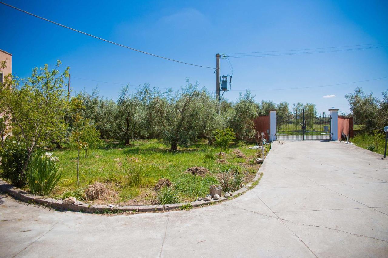 Agriturismo Biologico Piccapane Bed & Breakfast Cutrofiano Luaran gambar