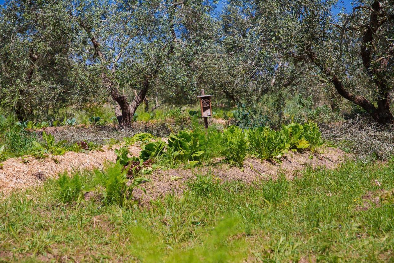 Agriturismo Biologico Piccapane Bed & Breakfast Cutrofiano Luaran gambar